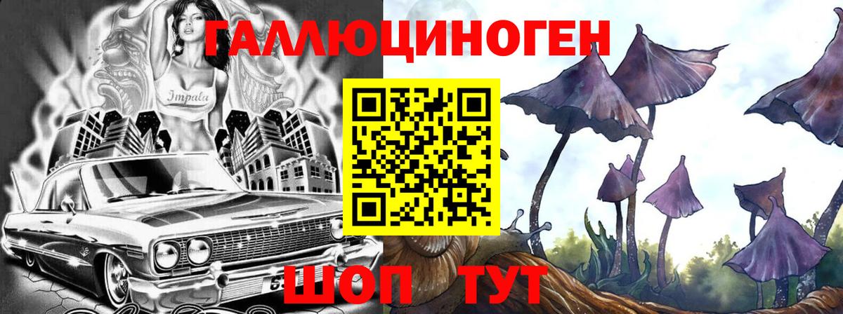 Псилоцибиновые грибы Cubensis Мелеуз