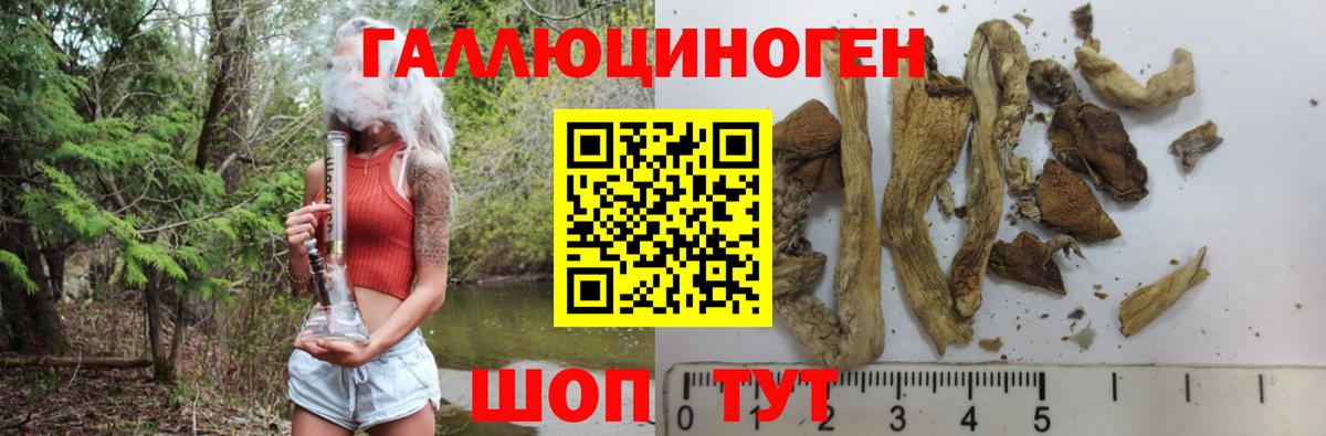 Псилоцибиновые грибы GOLDEN TEACHER  Вход с VPN  Псилоцибиновые грибы Psilocybe  Мелеуз 